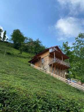 Vadi dağ evi bungalov